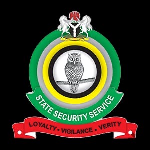 DSS Denies Arrest of Professor Okey Ndibe, Says Airport Interface Was for Watchlist Review