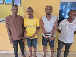 Lagos Police Arrest Four Suspected Cultists, Recover Firearms and Ammunition in Egbeda