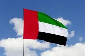 UAE bans social media for under-15 Children