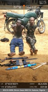 Troops of Operation FANSAN YAMMA Neutralise Bandits, Recover Rustled Cattle, Restore Order in Kaduna