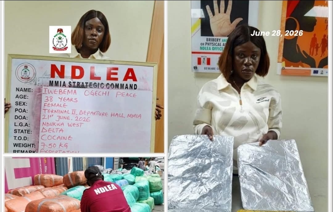 38-Year-Old China-Bound Businesswoman Nabbed at Lagos Airport With 7.5kg Cocaine as NDLEA Seizes N12.4bn Cannabis Consignment
