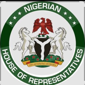Killings Of Nigerians In South Africa: House of Representatives Seeks Summon of Envoy