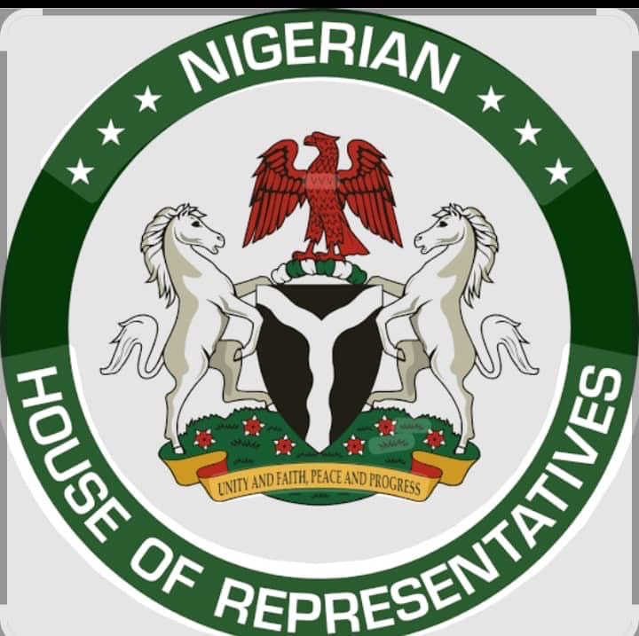 Killings Of Nigerians In South Africa: House of Representatives Seeks Summon of Envoy