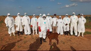 Yobe Rapid Response Team Intervenes to Contain Rabies Outbreak in Damaturu