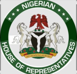 House Of Reps Passes Bill To Establish State Police Services