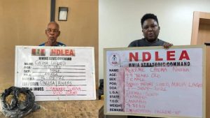 NDLEA Seizes 1.6m Tramadol Pills in Lagos, Busts Syndicate Smuggling Drugs from Togo-Benin Axis
