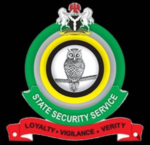 DSS Confirms Detention of Woman Over Alleged Unauthorized Drone Possession