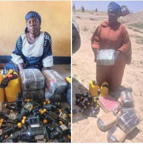 Troops Intercept Foreigners Supplying Illegal Drugs To Terrorists In Lake Chad Basin
