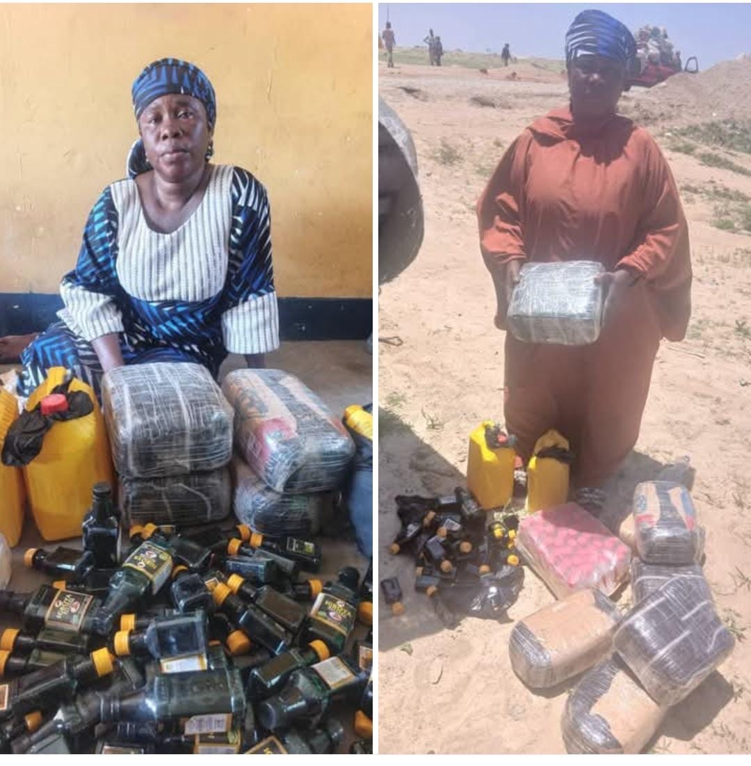 Troops Intercept Foreigners Supplying Illegal Drugs To Terrorists In Lake Chad Basin