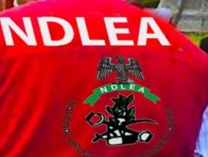 NDLEA recovers 401 rounds of military-grade ammunition, seizes drugs worth over N10bn