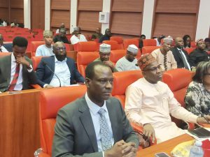 Senate Grills Finance Minister Over Rising Debt, Poor Budget Implementation