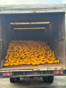 Troops of Intercept Truck Conveying Large Consignment of illicit Drugs Along Lagos–Calabar Coastal Road