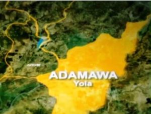 Fear Grips Adamawa Community After Woman’s Body Found Without Head
