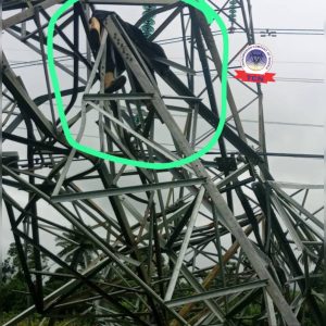 Vandal Crushed to Death Under Collapsed Transmission Tower in Delta State