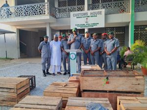 Kano/Jigawa Customs Disrupts Anti—Wildlife Trafficking Gang, Rescues 48 Endangered Species