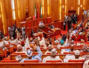 Northern Senators Push for State Police After Fresh Terror Attacks
