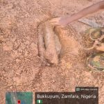 Troops Recover IED Planted by Terrorists in Zamfara State