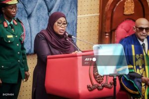 Tanzania Removes Nigeria From Referred Visa Category, Eases Visa Process