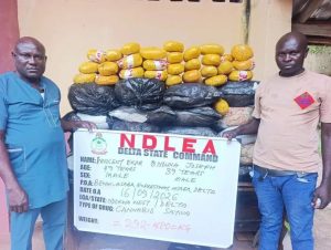 NDLEA Arrests Fake Police Officer, Mechanic-Drug Dealer; Seizes Over 1.3 Million Tramadol Pills