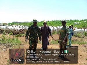 Troops Foil Massive Cattle Rustling In Kaduna