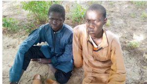 Two Teenagers Flee Terrorist Camp, Surrender to Troops in Borno