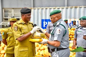 Customs Hands Over ₦3.95bn Cannabis Haul, Tramadol to NDLEA, NESREA