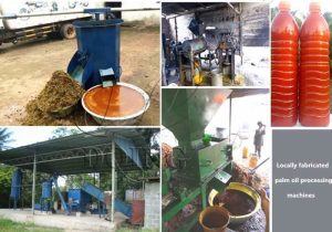 LASCOPA Raises Alarm Over Fake Palm Oil, Urges Lagosians to Be Vigilant