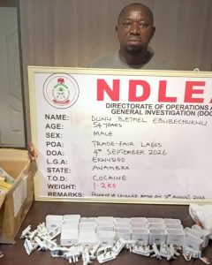 Herbal tea businessman behind cocaine shipments to Saudi Arabia arrested in Lagos
