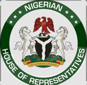 Reps Committee Discovers 12 Other Fake Agencies, 58 Bank Accounts Link to Adeniyi Adeyemi