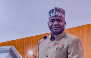 Sambisa Forest Gives Terrorists Advantage, Defence Minister Says