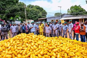 Ogun Customs Hits Economic Saboteurs, Seizes Cannabis, Others Worth ₦2.4bn