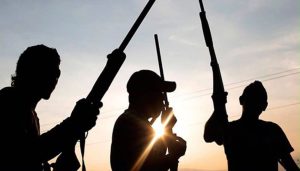 Three CRIN Staff Abducted While Inspecting Crops in Ibadan
