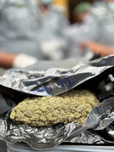 How Customs Intercepted High-Potency ‘Canadian Loud’ to Protect Youth Against Drug Addiction